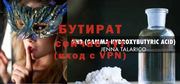 крисы Бородино