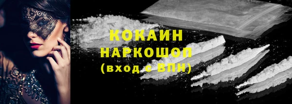 СК Бронницы
