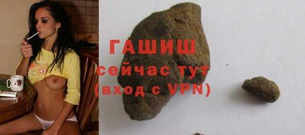 крисы Бородино