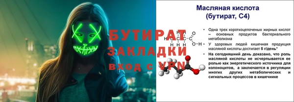 крисы Бородино