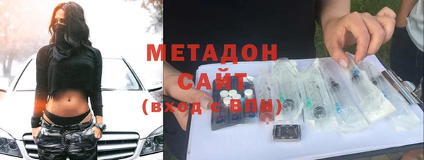 крисы Бородино