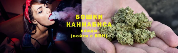 крисы Бородино