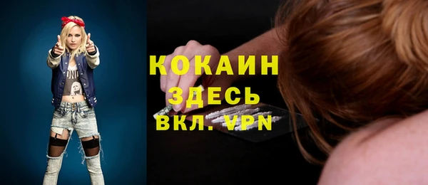 крисы Бородино
