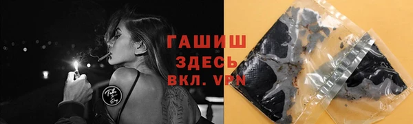 крисы Бородино