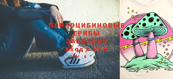 СК Бронницы