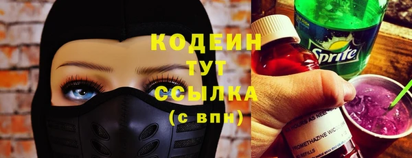 крисы Бородино