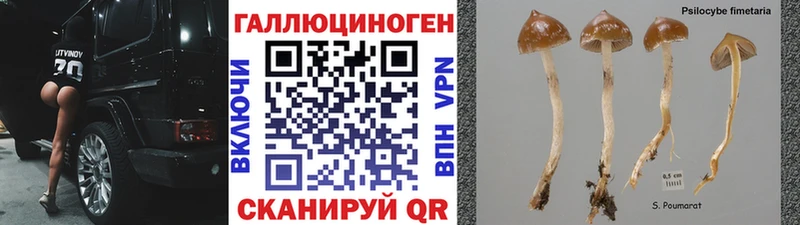 Галлюциногенные грибы Cubensis  Подольск 