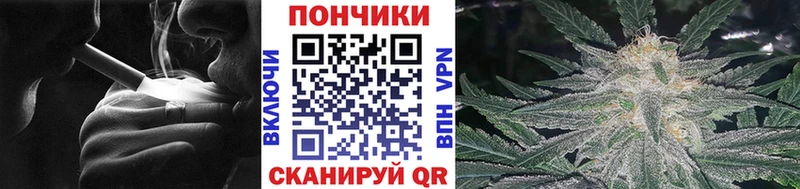 Бошки Шишки план Подольск